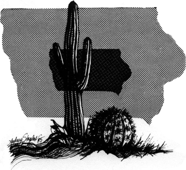 MICSS logo — cactus artwork by Audrey Staples